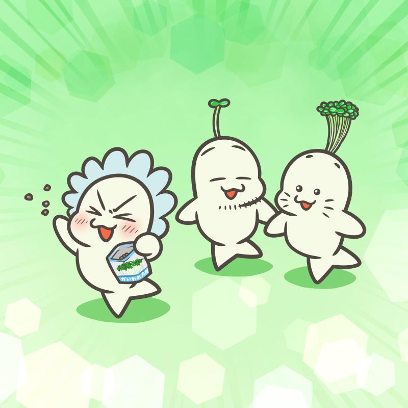 かいわれ大根の日